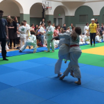 Berlin Cosmopolitan School_grundschule_primary-sport_judo