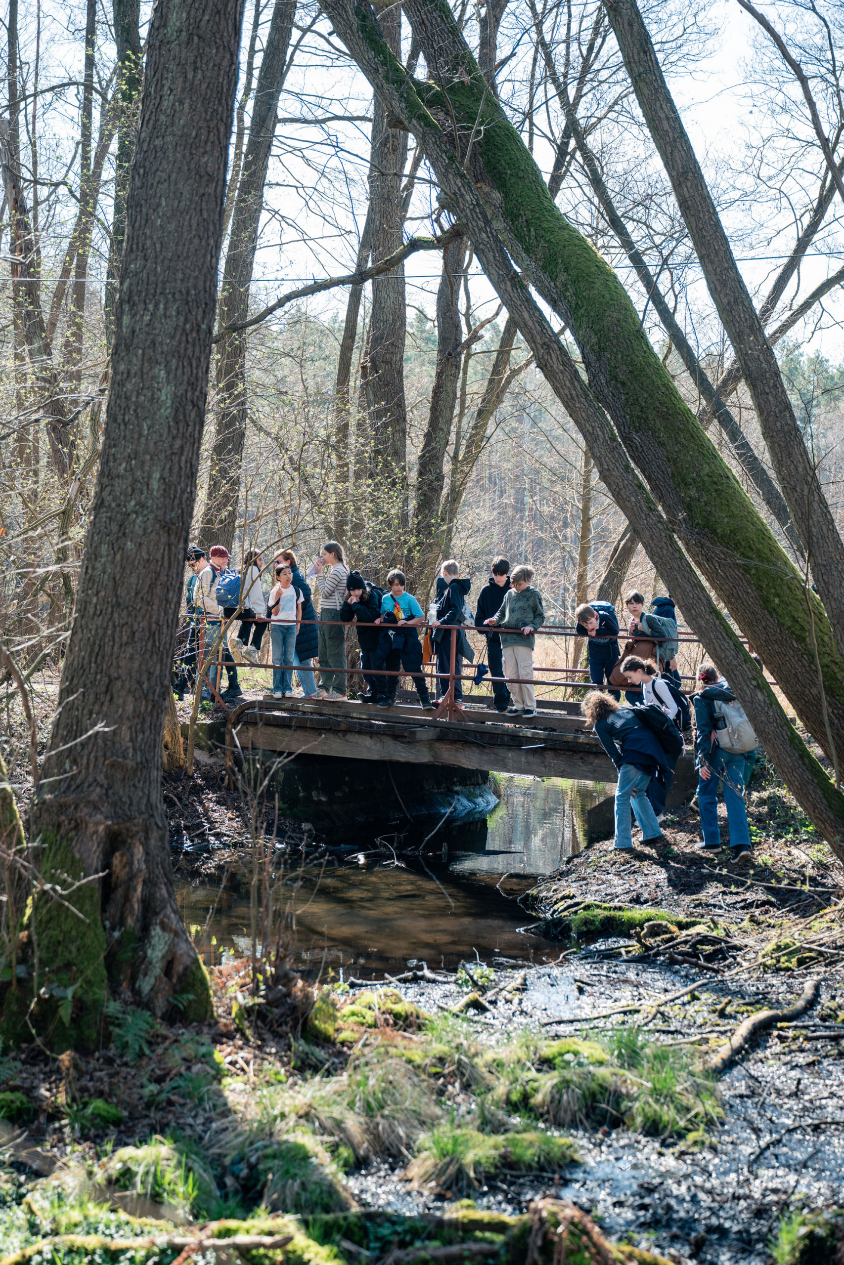 Cosmopolitanschool Berlin Eine Gruppe von Menschen steht auf einer schmalen Holzbrücke in einem Wald nahe der Waldschule BCS und beobachtet die Natur. Hohe Bäume umgeben sie, und das Sonnenlicht fällt durch die Äste auf den schlammigen Boden und den Bach darunter. loading=