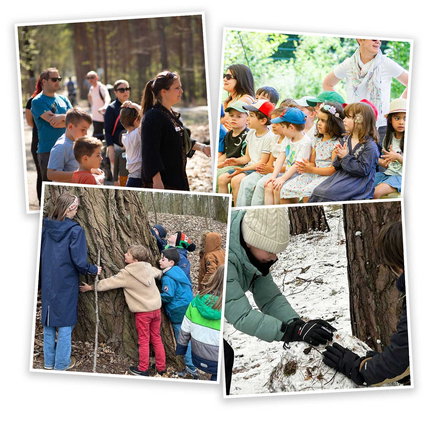 Cosmopolitanschool Berlin Eine Collage von Kindern und Erwachsenen im Freien: Einige Kinder sitzen auf Bänken mit Erwachsenen in der Nähe, andere berühren Baumstämme in einem Wald, und zwei Kinder untersuchen etwas an einem Baum in einem verschneiten Waldgebiet. loading=