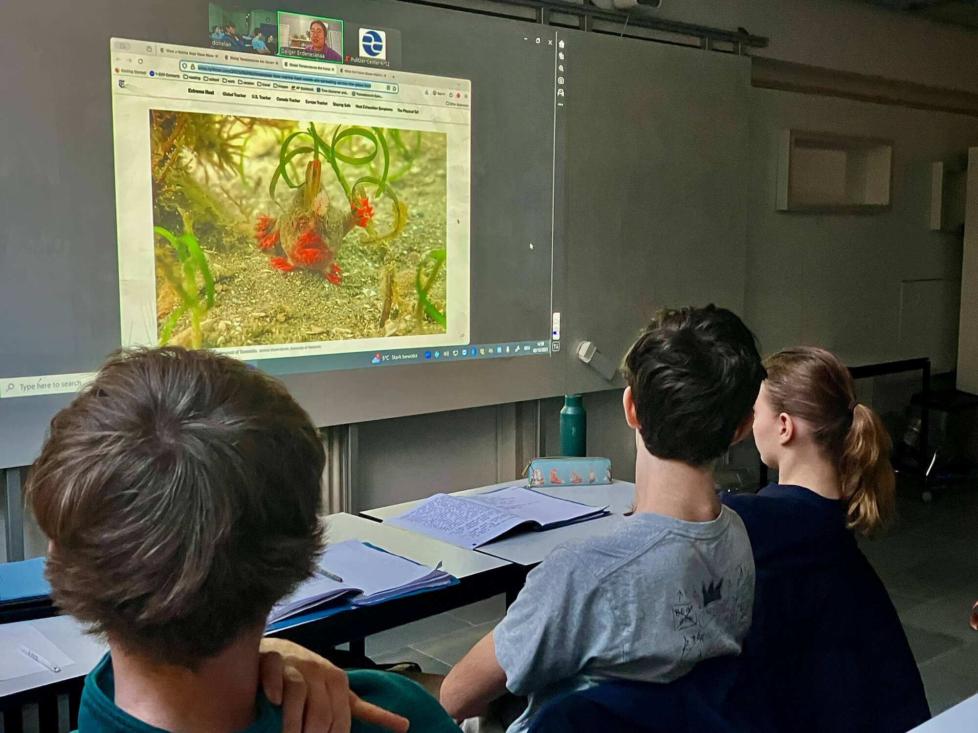 Cosmopolitanschool Berlin Drei Schüler einer BCS-Abiturklasse sitzen an ihren Tischen und sehen sich ein projiziertes Video auf einem Whiteboard an. Ein Reporter der "New York Times" ist zu sehen, wie er einen felsigen Weg entlang von Wasser und hohem Gras entlangläuft, wobei die Gesichter zweier Personen in kleinen Videofenstern zu sehen sind. mit KI bearbeitet