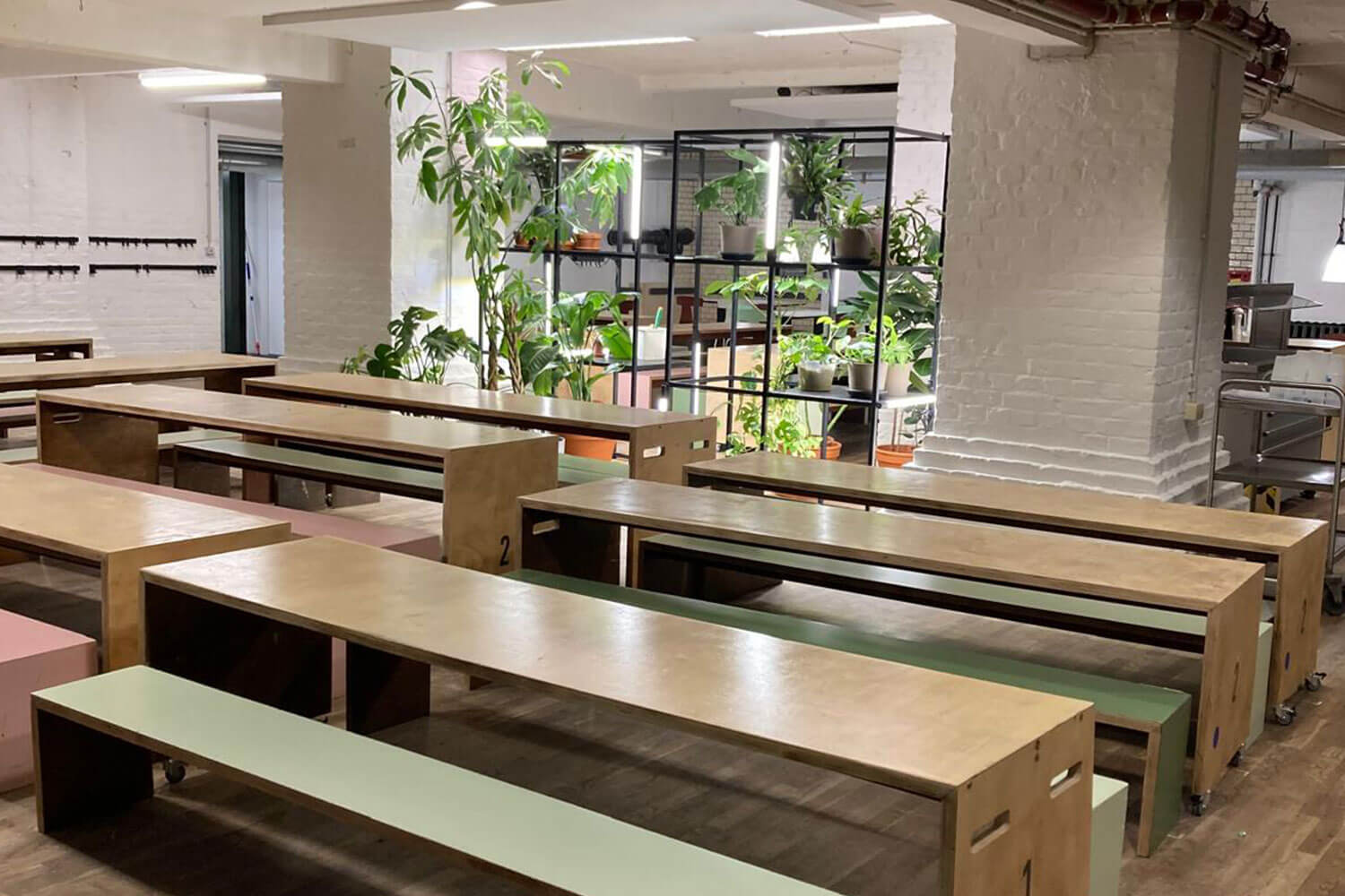 Cosmopolitanschool Berlin Eine moderne Cafeteria mit langen Holztischen und -bänken, weißen Backsteinwänden und mehreren Topfpflanzen, die den Raum begrünen. Natürliches Licht erhellt den Raum und schafft eine einladende Atmosphäre.