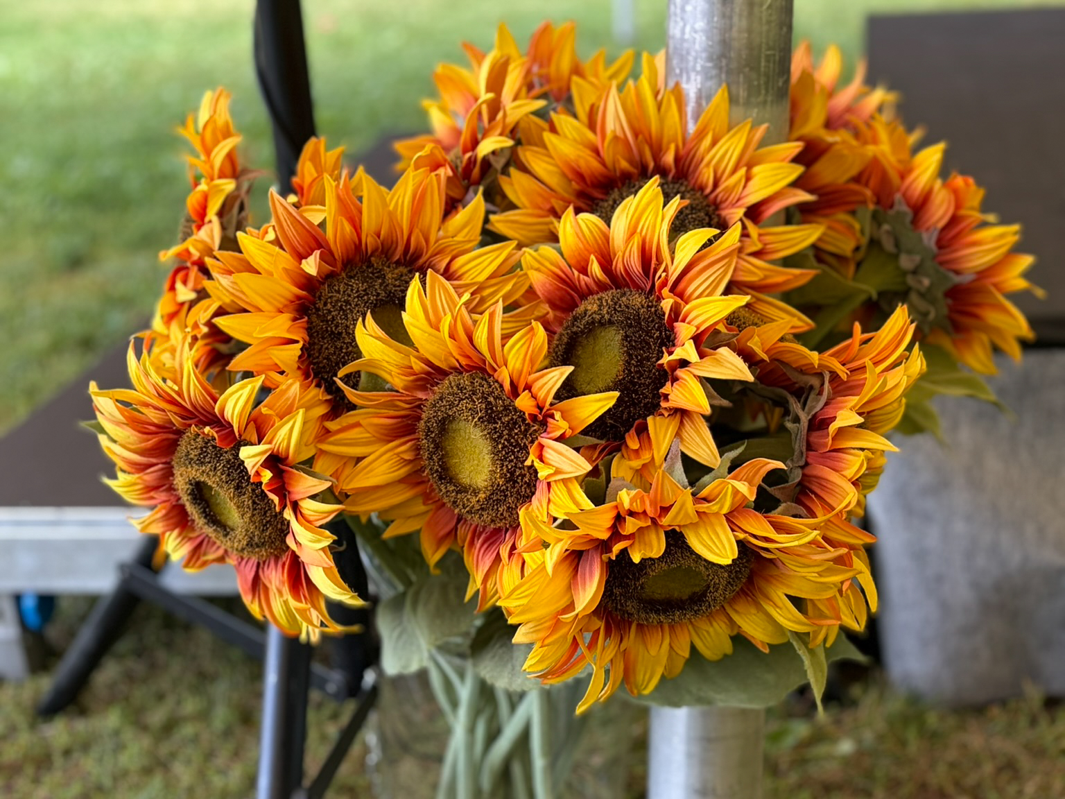 Strauß aus mehreren leuchtend orange-gelben Sonnenblumen mit braunen Zentren vor unscharfem Hintergrund